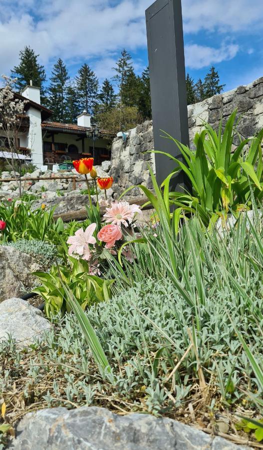 Alpenchalet Zum Jeremia Грайнау Екстериор снимка